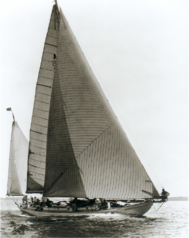 blazing-voile
